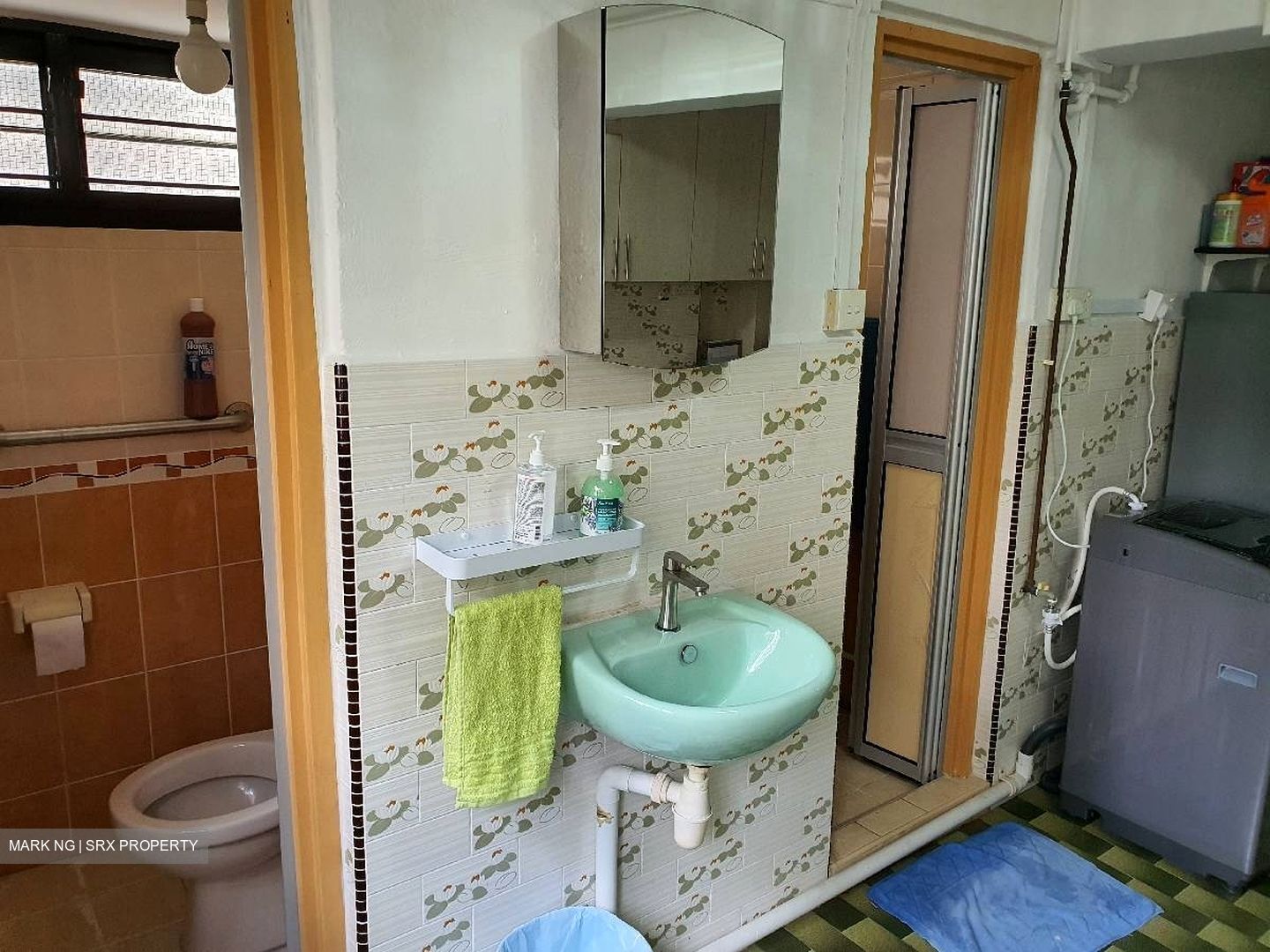 Holland Avenue (Queenstown),  #352438371